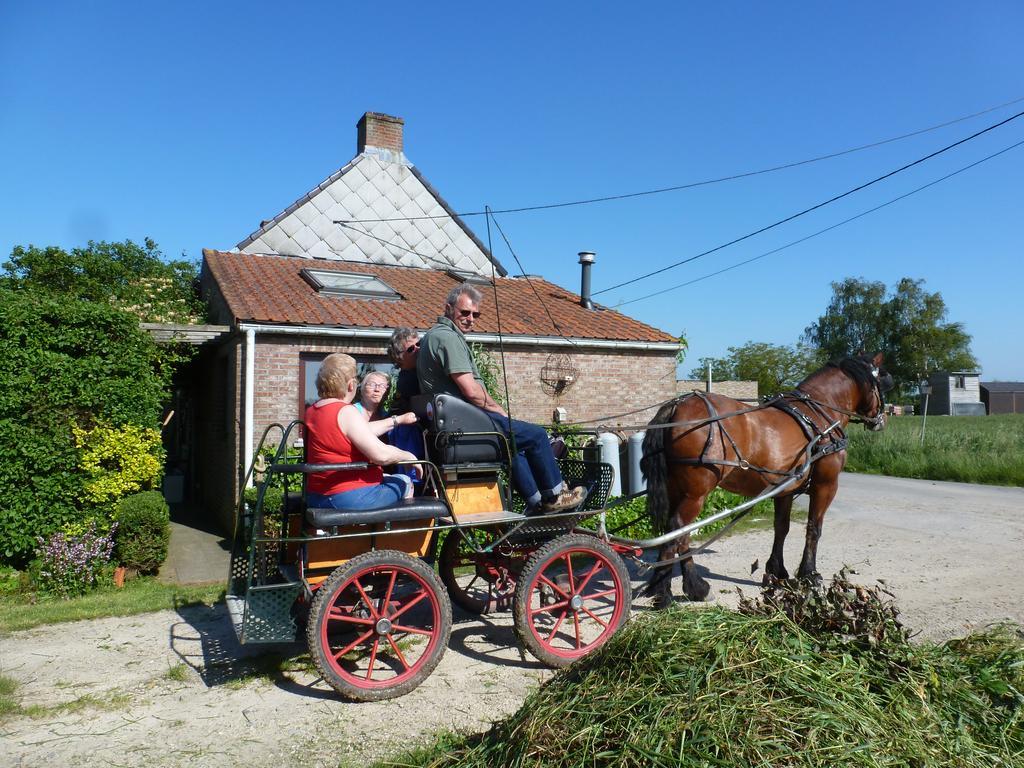 Guesthouse Kolibriehuys Nieuwkerke Eksteriør bilde