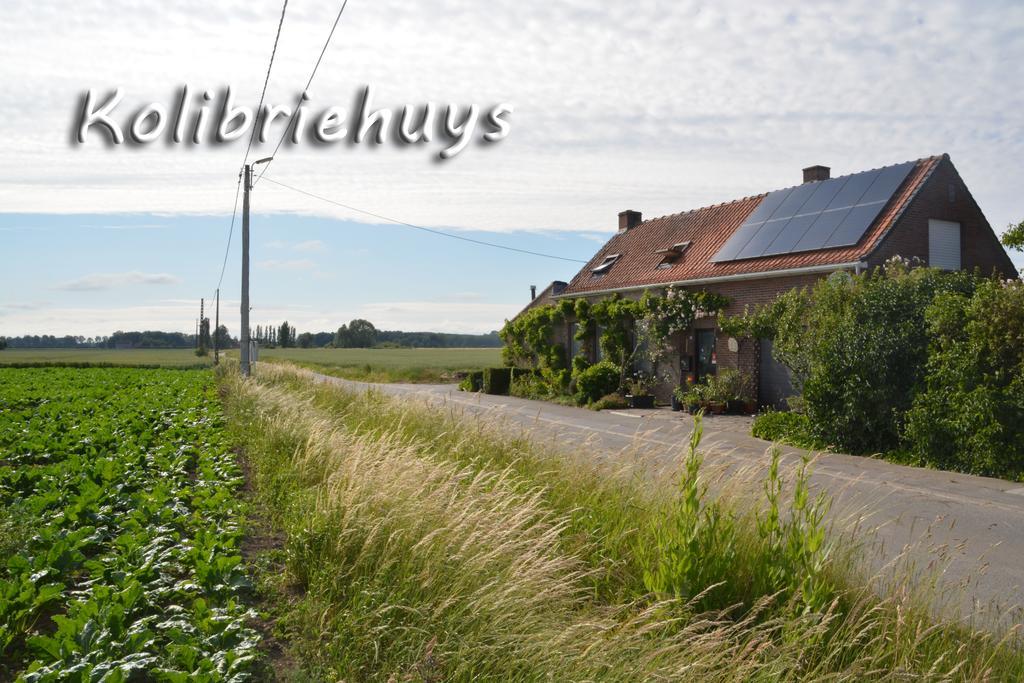 Guesthouse Kolibriehuys Nieuwkerke Eksteriør bilde