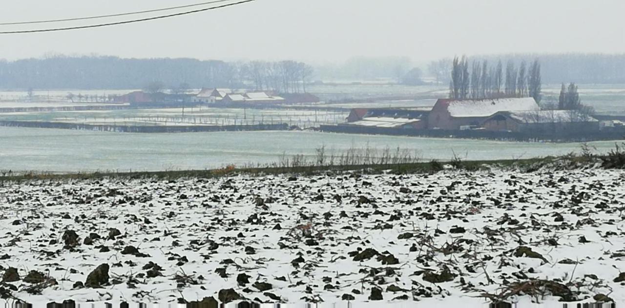 Guesthouse Kolibriehuys Nieuwkerke Eksteriør bilde